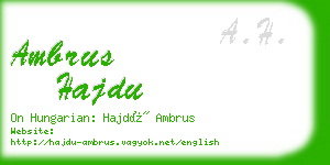 ambrus hajdu business card